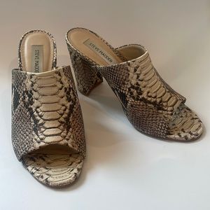 Steve Madden | Esmeralda Snake Skin Mules | Size 8